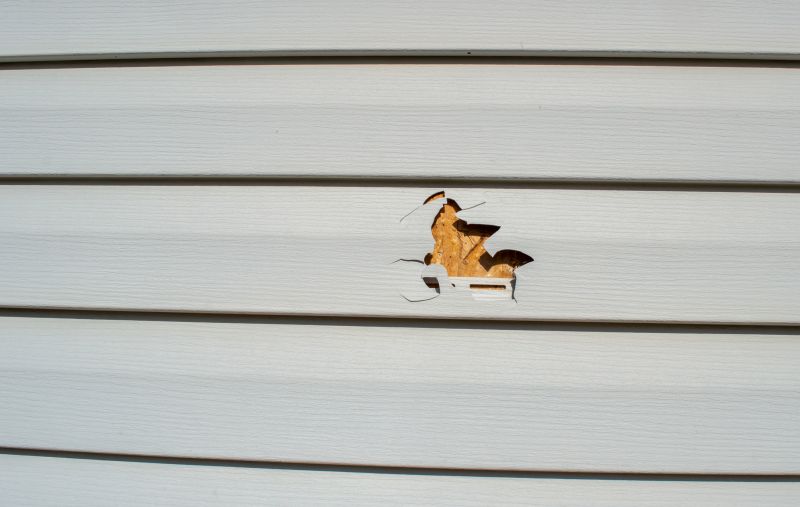 Vinyl Siding Repair - Image 11